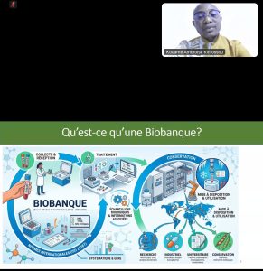 Biobanques : un rempart crucial contre l&rsquo;extinction de la biodiversité en Afrique.