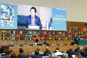 Décennie onusienne 2027-2036 : De Brazzaville à Rome, le Congo rallie le monde autour du reboisement